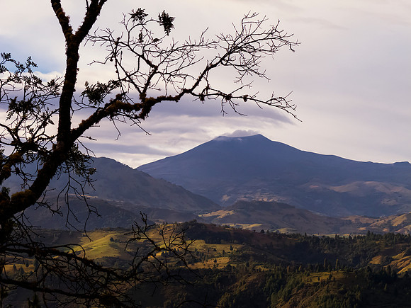 Cauca.