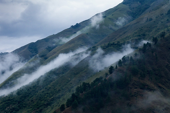 Cauca.