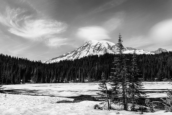 Mount Rainier National Park.