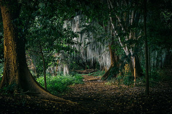 Nombre: Sendero de duendes.