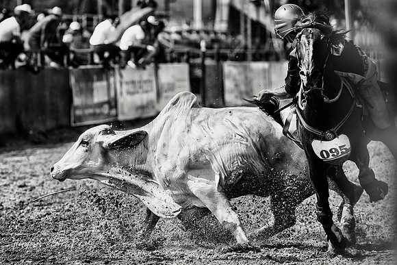 Libro "Cien Fotógrafos Colombianos V2" 2019. "Fotologia, escuela del pensamiento fotográfico colombiano".