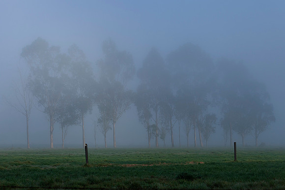 Cundinamarca