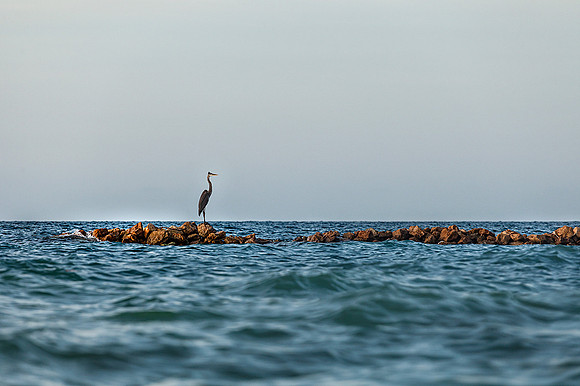 Bolivar (Golfo de Morrosquillo)