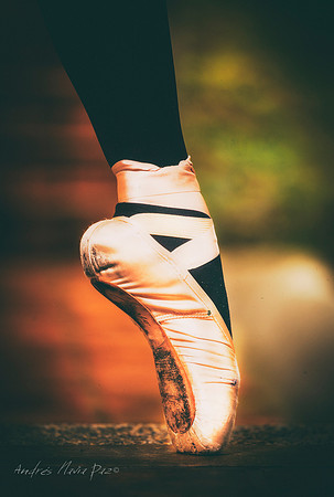 Proyecto Bailarina.